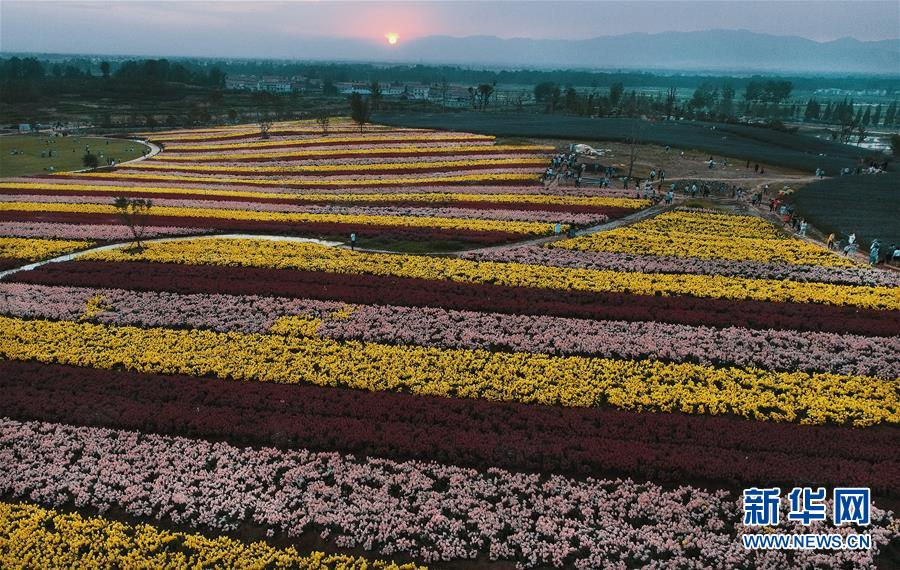 （一带一路&middot;好风光）（1）张骞故里的丝路花海