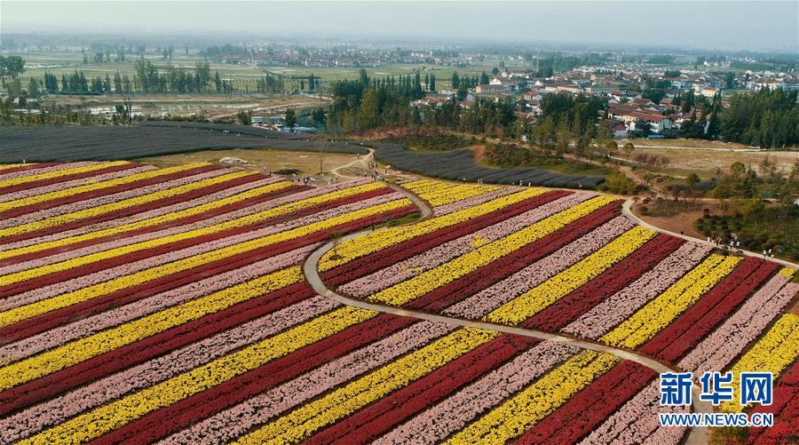 （一带一路&middot;好风光）（2）张骞故里的丝路花海