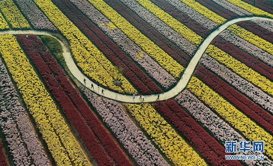 （一带一路&middot;好风光）（3）张骞故里的丝路花海