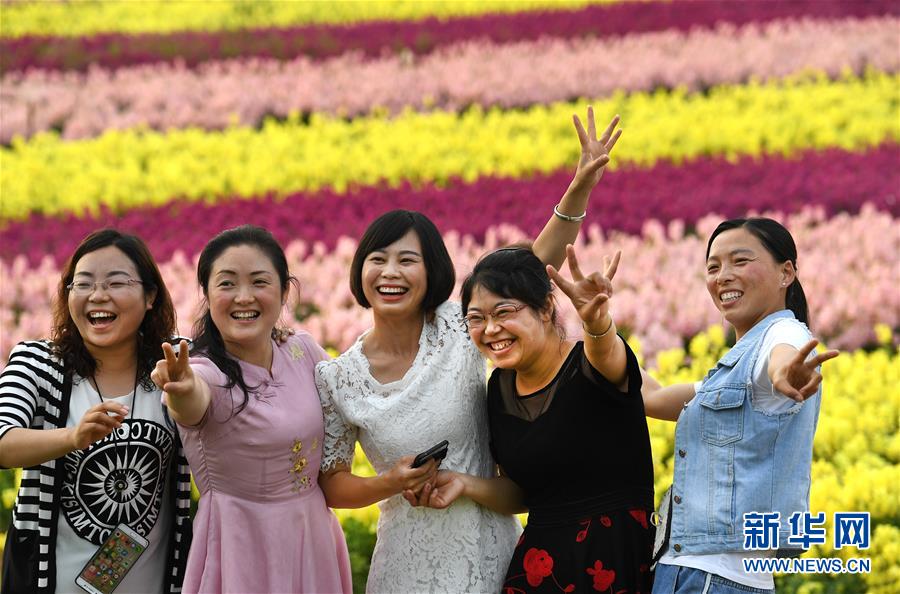 （一带一路&middot;好风光）（5）张骞故里的丝路花海