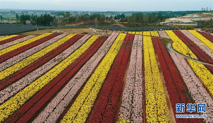 （一带一路&middot;好风光）（4）张骞故里的丝路花海
