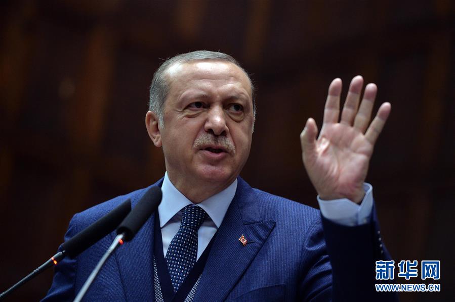 （国际）（2）土耳其总统批评多国联合制裁卡塔尔