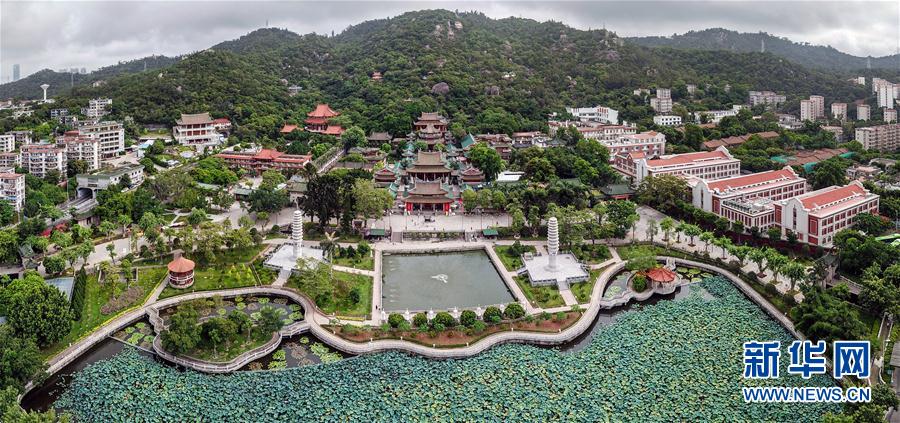 （厦门会晤&middot;魅力厦门）（4）空中画卷 美丽厦门