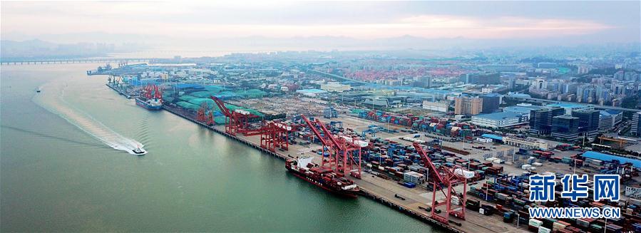 （图文互动&middot;新华全媒头条&middot;厦门会晤&middot;中国担当）（5）让金砖合作之树更加枝繁叶茂&mdash;&mdash;写在金砖国家领导人厦门会晤即将召开之际