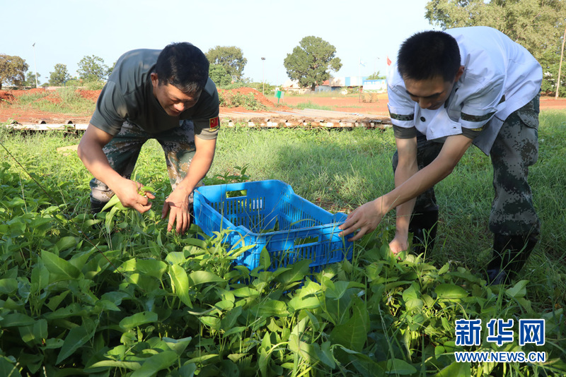 中国赴南苏丹维和医疗队发扬南泥湾上甘岭