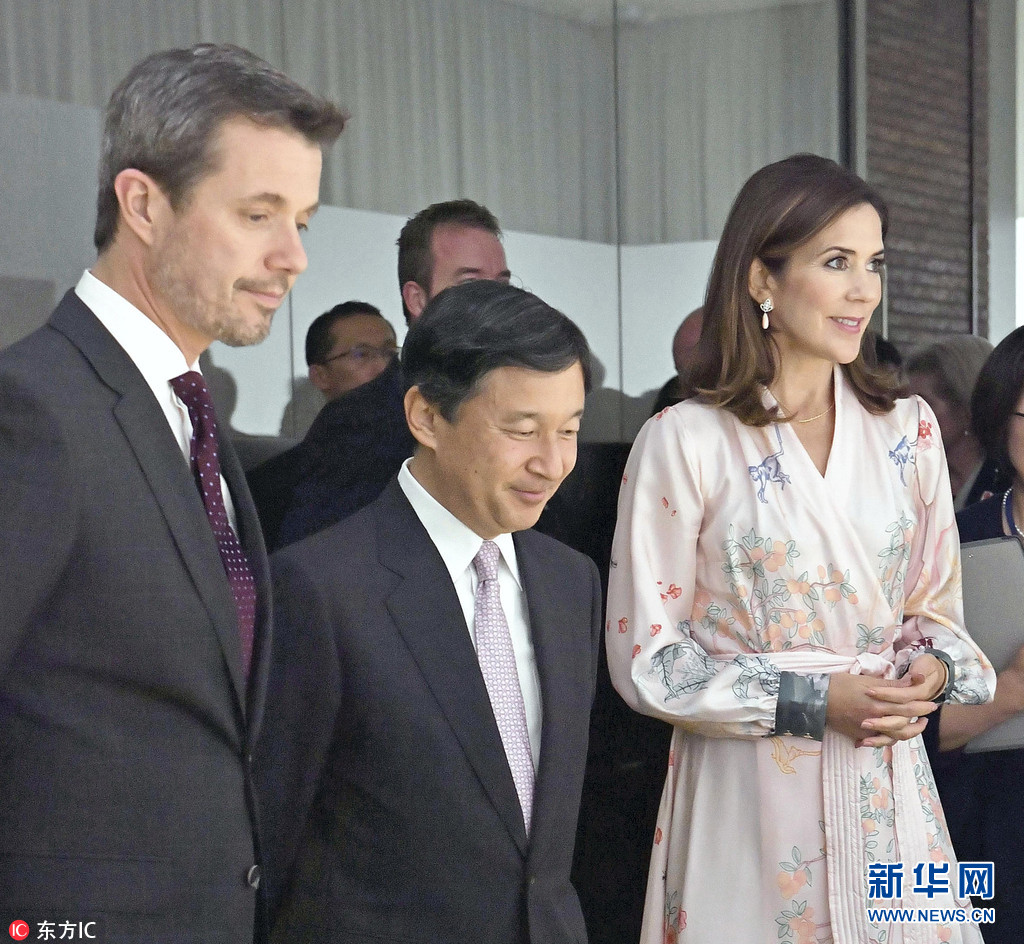 丹麦王储夫妇访日皇太子德仁亲自接待 组图 新华网