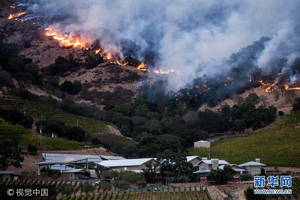 当地时间2017年10月9日，美国加州，加州北部山火肆虐，至9日上午已造成大量房屋被烧毁，上千人撤离，多条公路被关闭。加利福尼亚州州长布朗9日宣布，加州北部三个县进入紧急状态。***_***October 9, 2017 - Napa, California, United States: Flames moved through the hills near a winery as a fast moving wind whipped wildfire raged through the Napa/Sonoma wine region.  More than a dozen wildfires raged across Northern California for the third straight day on Oct. 10, with the biggest ones scorching the state's famous wine country, killing at least 11 people and forcing more than 20,000 people to evacuate. The largest fires were burning in California's wine country destinations - Sonoma, Napa and Mendocino counties. (Peter DaSilva/Polaris)