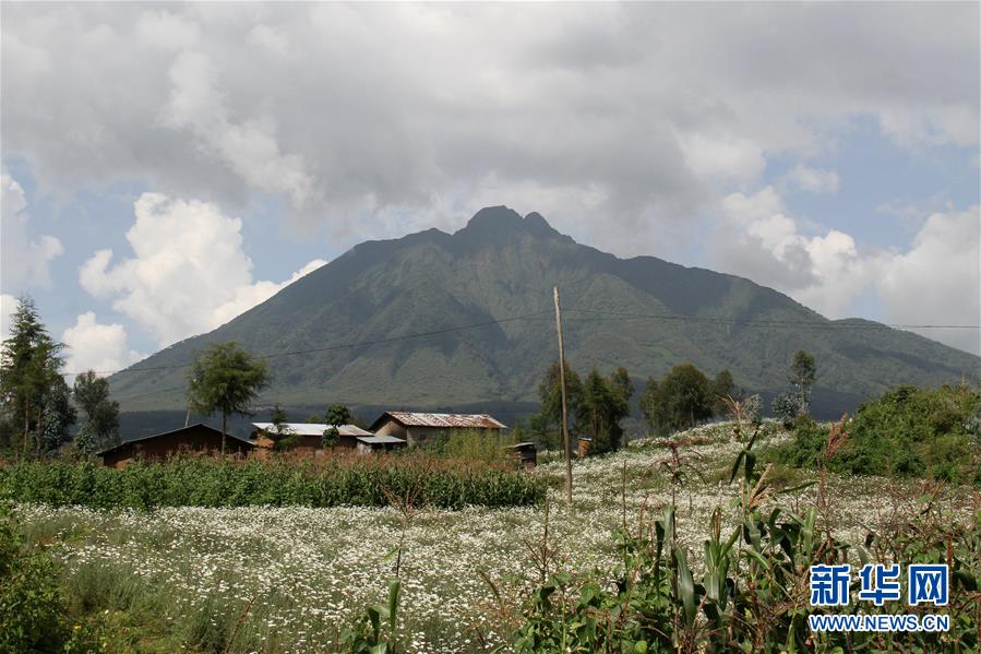 （国际&middot;图文互动）（5）通讯：非洲火山下的野保接力