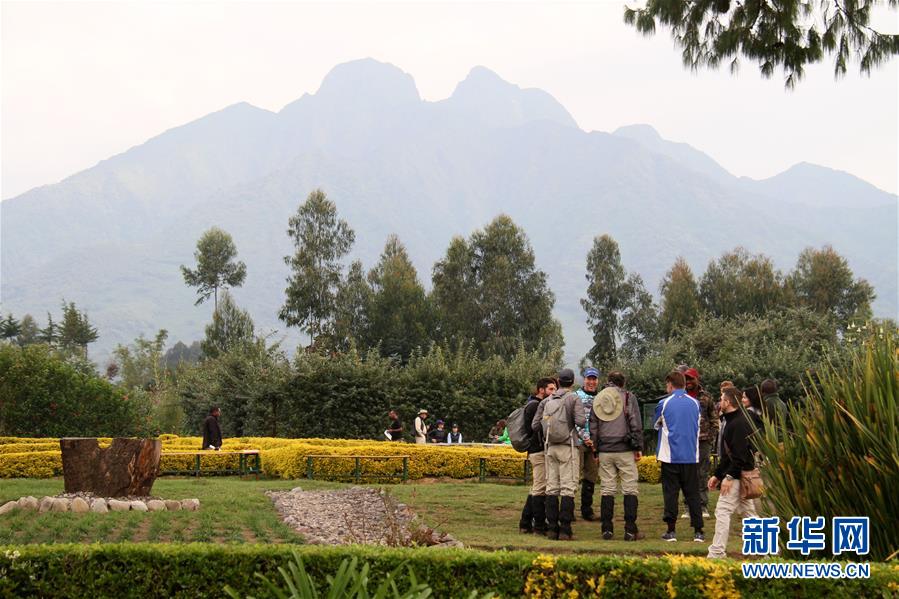 （国际&middot;图文互动）（6）通讯：非洲火山下的野保接力