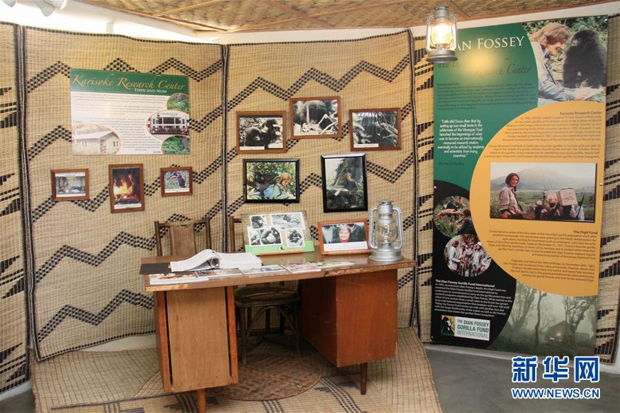 （国际&middot;图文互动）（8）通讯：非洲火山下的野保接力