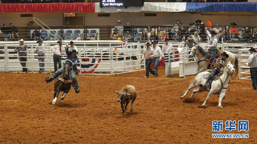 （国际）（1）美国得州牛仔竞技活动在沃思堡举行