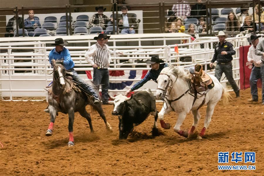 （国际）（2）美国得州牛仔竞技活动在沃思堡举行