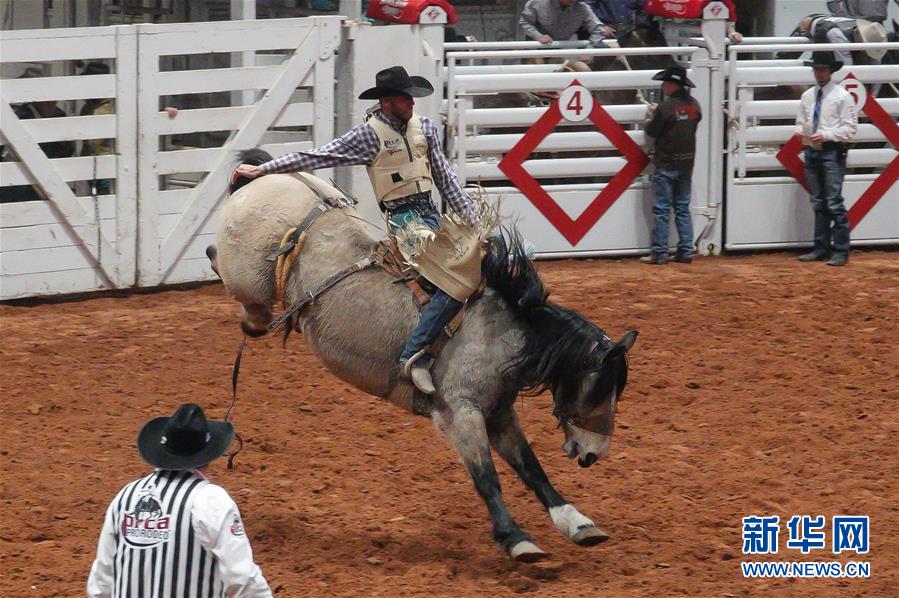 （国际）（3）美国得州牛仔竞技活动在沃思堡举行