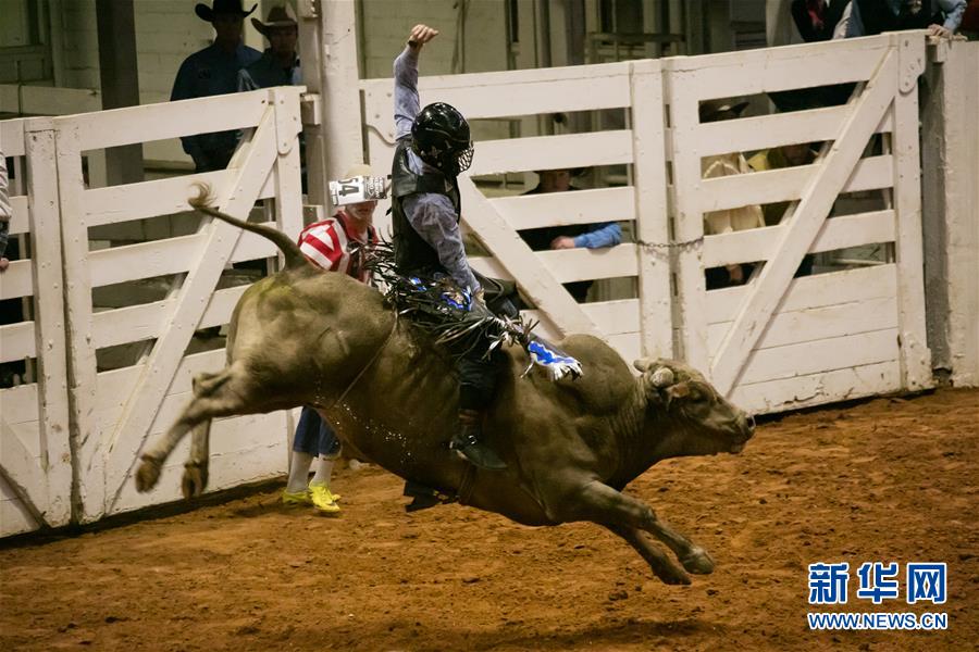 （国际）（4）美国得州牛仔竞技活动在沃思堡举行