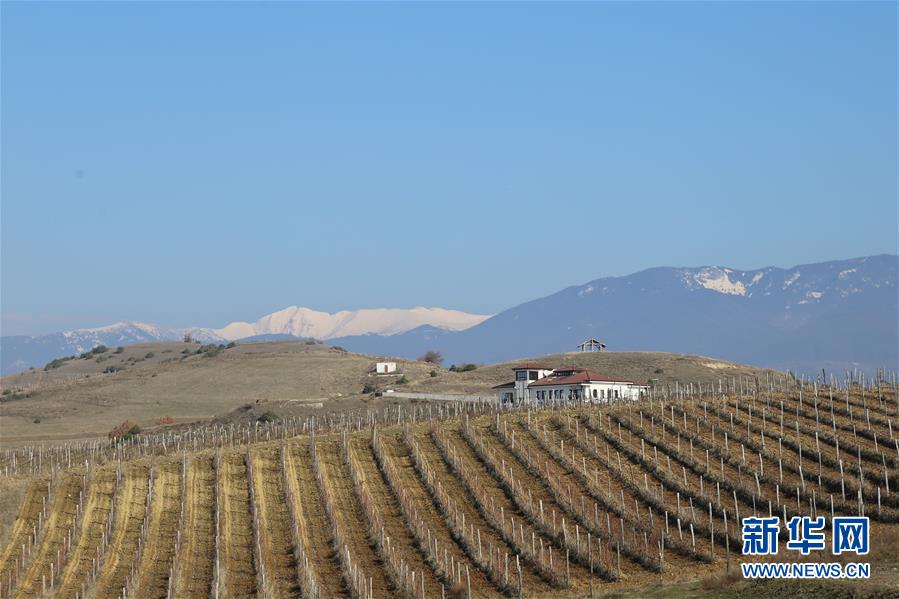 （XHDW）（2）保加利亚小镇欢庆葡萄剪枝节