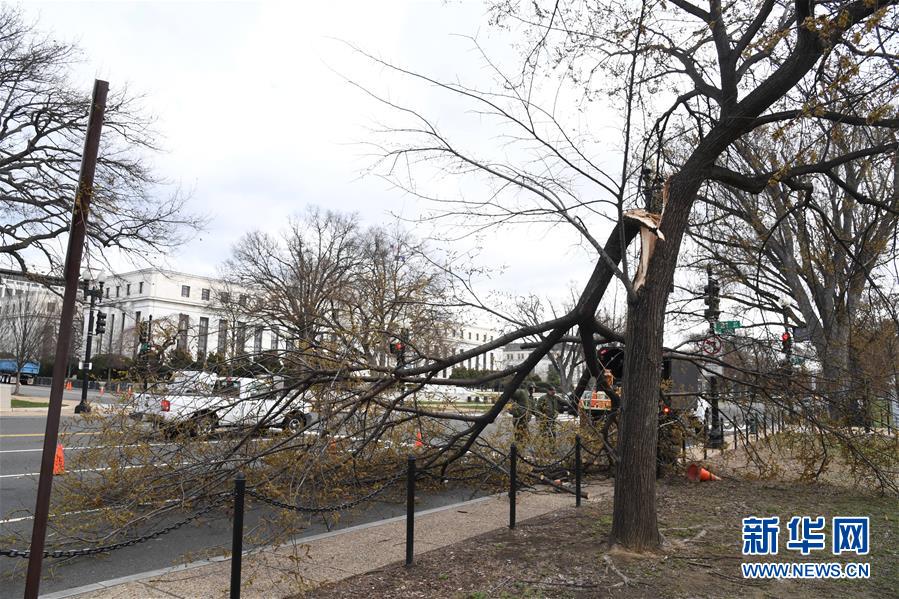 （国际）（6）华盛顿遭遇风暴极端天气