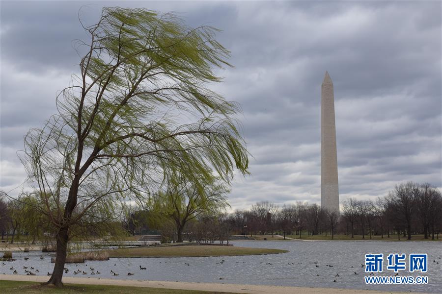 （国际）（7）华盛顿遭遇风暴极端天气