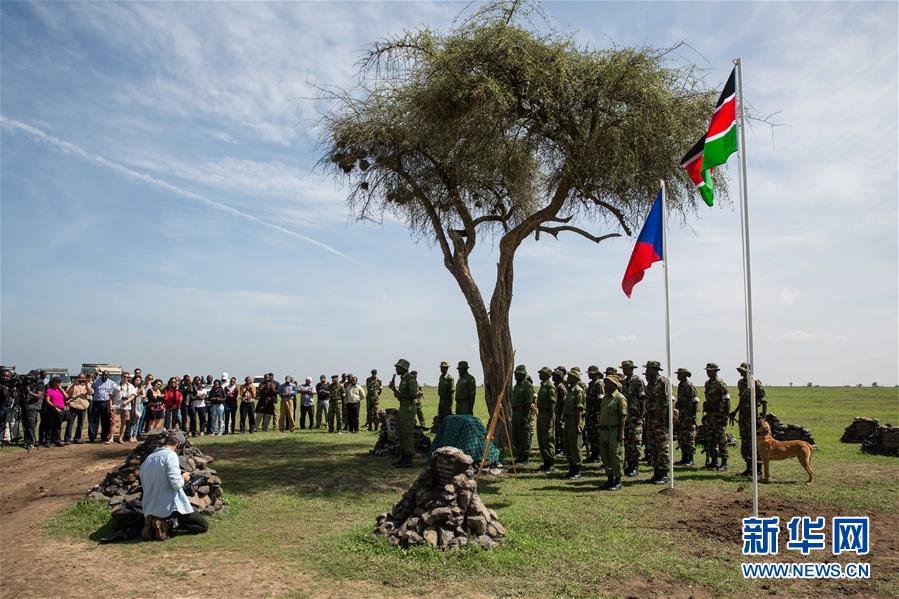 （国际）（6）肯尼亚为全球最后一头雄性北方白犀牛离世举行纪念活动
