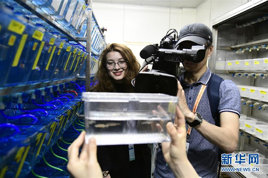 (上合青岛峰会)(1)哈萨克斯坦“珍珠”服务上合峰会