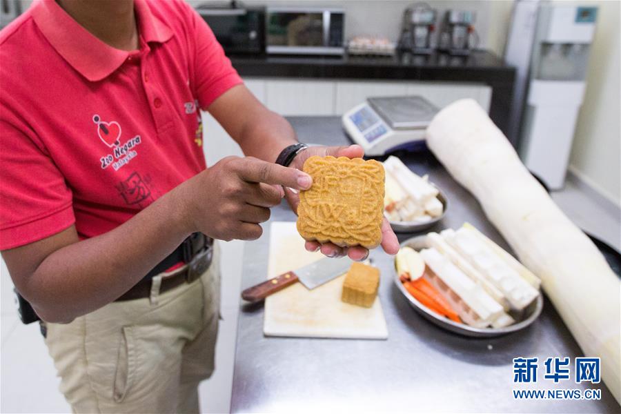 （国际）（6）旅马大熊猫的马来西亚&ldquo;奶爸&rdquo;