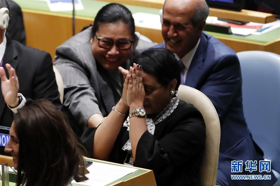 （XHDW）（2）德国等5国当选联合国安理会非常任理事国