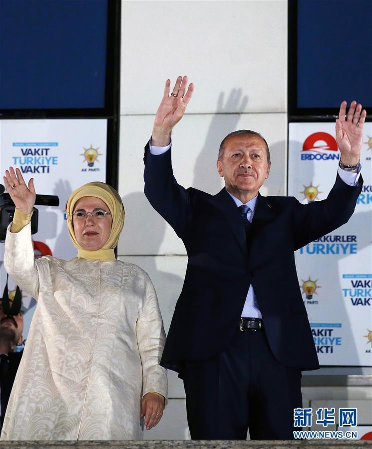(国际)(2)埃尔多安赢得总统选举