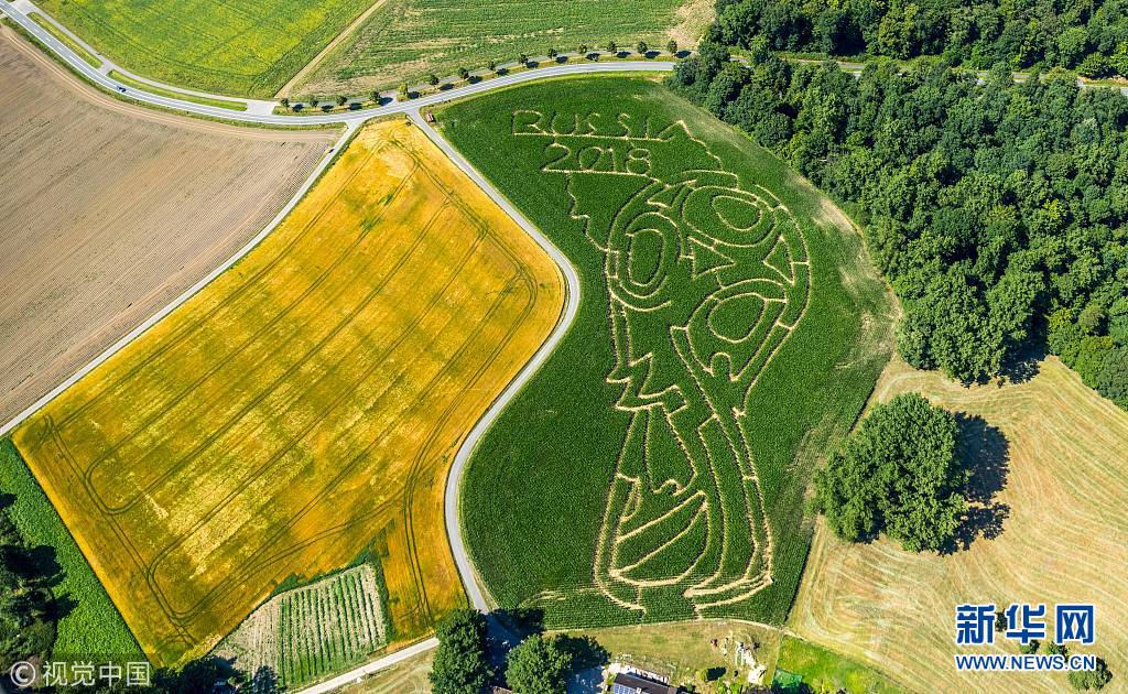 壮观!德国现世界杯Logo玉米迷宫(组图)
