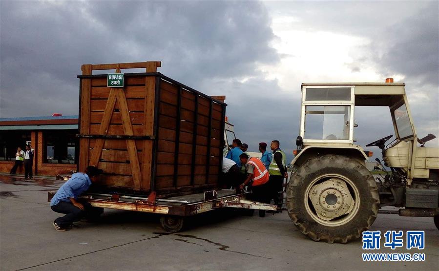 （国际）尼泊尔赠送的两只独角犀牛正式移交中国
