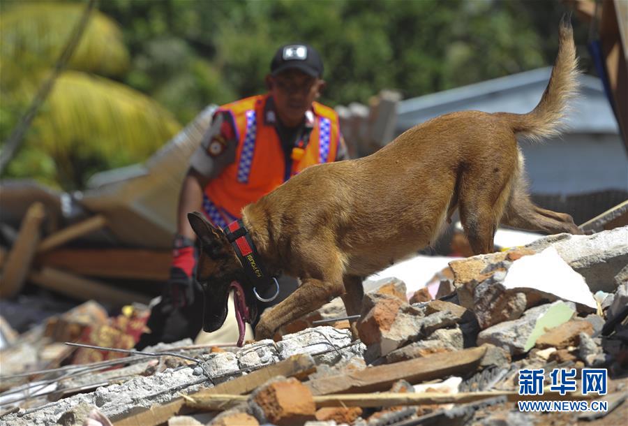 （国际）（3）印尼龙目岛地震死亡人数升至131人