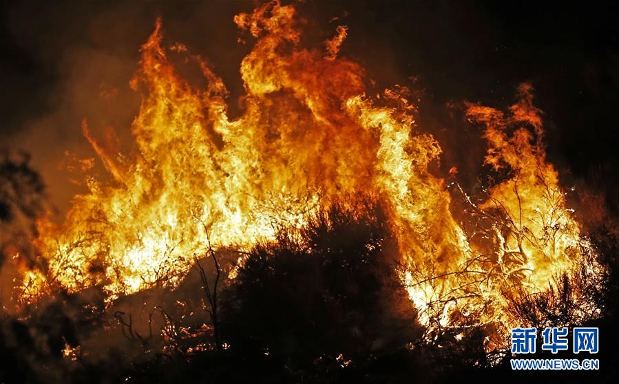 （国际）（7）美国加州山火肆虐