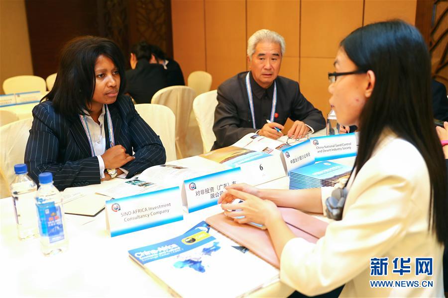 （中非合作论坛&middot;XHDW）（2）中非企业家对接洽谈