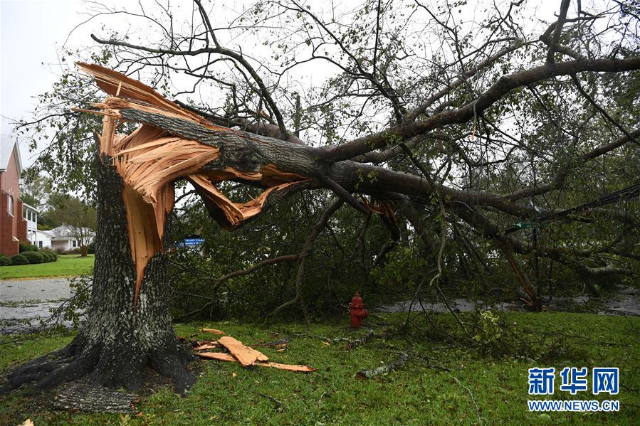 （国际）（4）“弗洛伦斯”减弱为热带风暴　在美国已致5人死亡