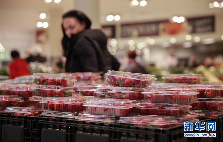 （国际）（5）澳大利亚草莓藏针事件持续发酵