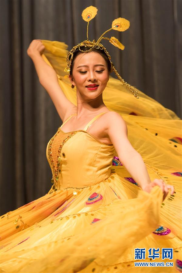 （国际）（4）云南歌舞中秋夜闪耀开罗