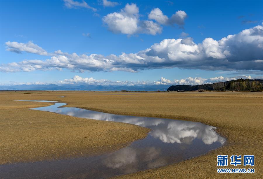 （国际）（2）新西兰阿贝尔&middot;塔斯曼国家公园风光