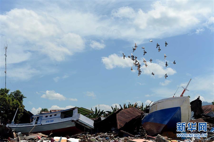 （国际）（5）印尼地震海啸灾区掠影