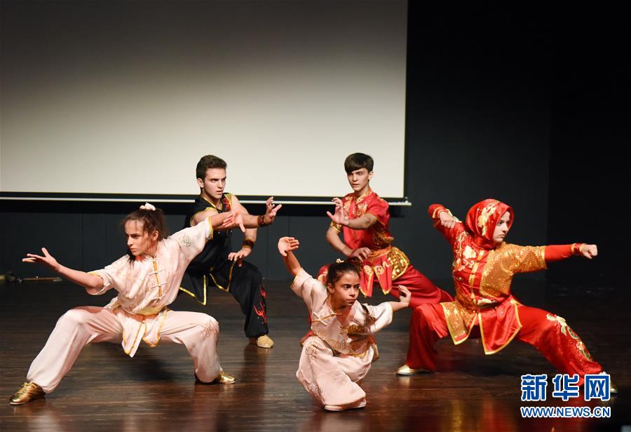 （XHDW）（3）孔子学院武术巡演在土耳其大学开演