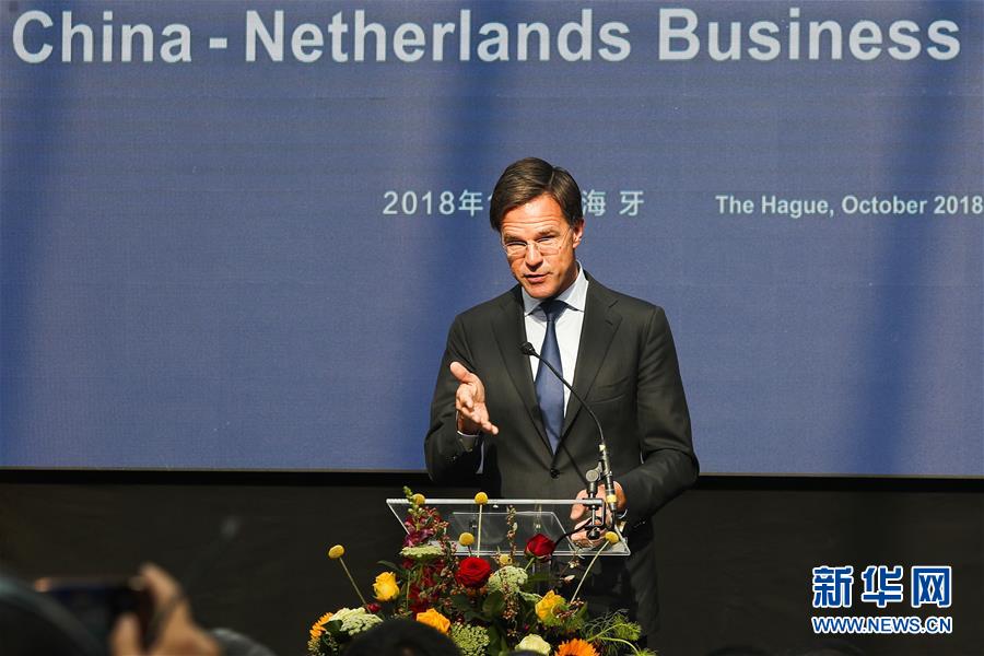 （XHDW）（2）2018中国－荷兰经贸论坛在荷兰海牙举行