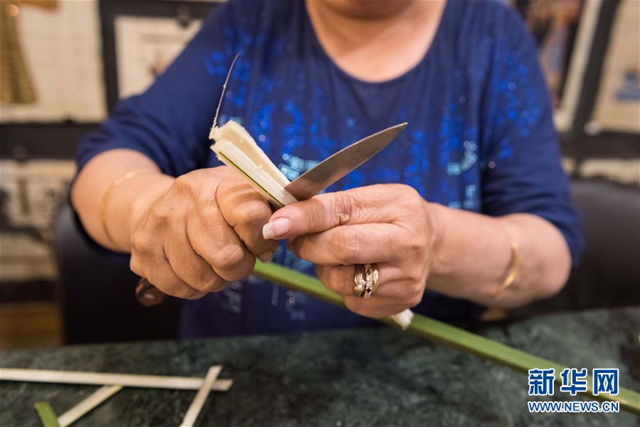 （国际&middot;图文互动）（8）通讯：尼罗河的礼物&mdash;&mdash;莎草画