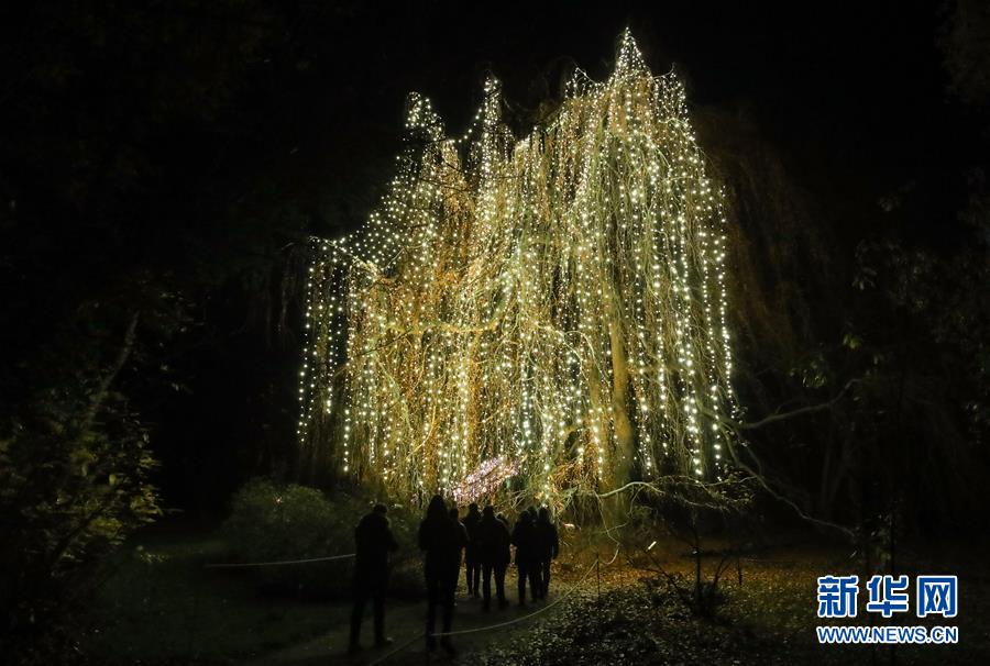 （國際）（1）“柏林聖誕花園”燈光秀開幕