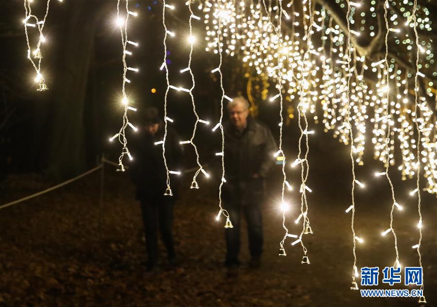 （國際）（4）“柏林聖誕花園”燈光秀開幕