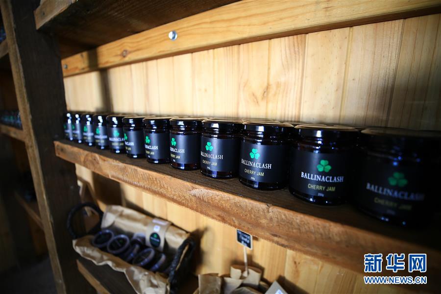 （国际&middot;图文互动）（2）探访澳大利亚百年&ldquo;樱桃之都&rdquo;