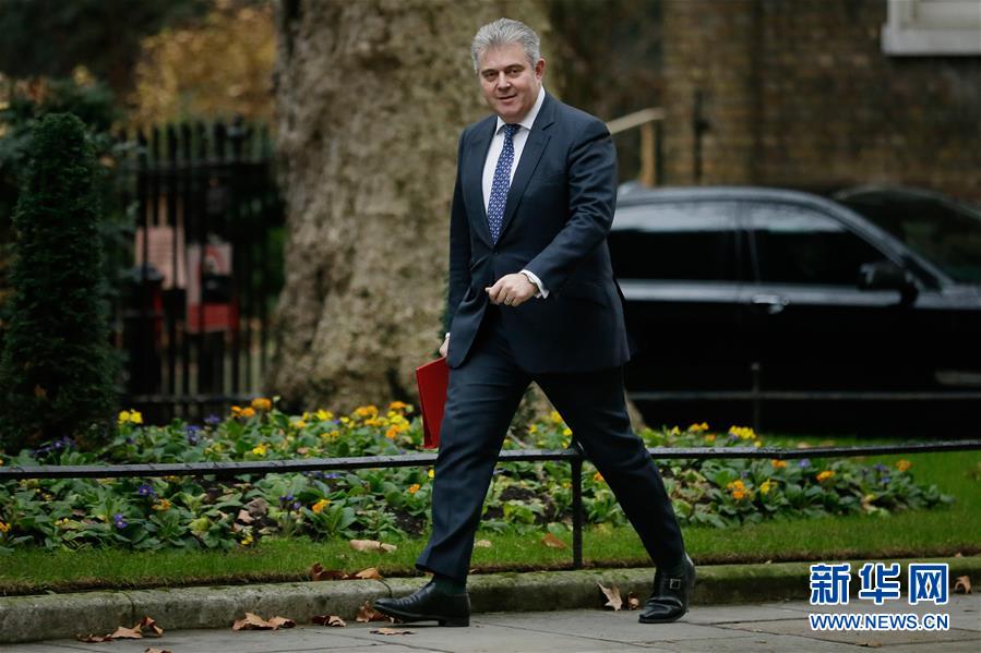 （国际）（5）英国内阁会商&ldquo;无协议脱欧&rdquo;