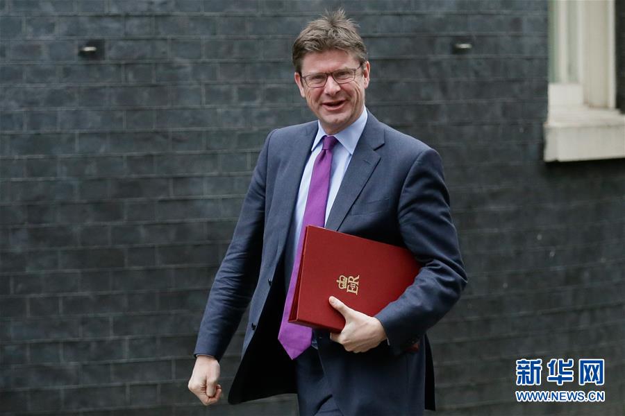 （国际）（6）英国内阁会商&ldquo;无协议脱欧&rdquo;