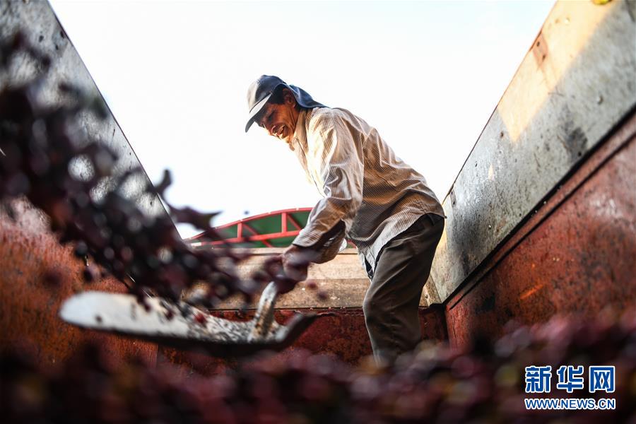 （国际）（4）哥斯达黎加&mdash;&mdash;中美洲的&ldquo;咖啡王国&rdquo;