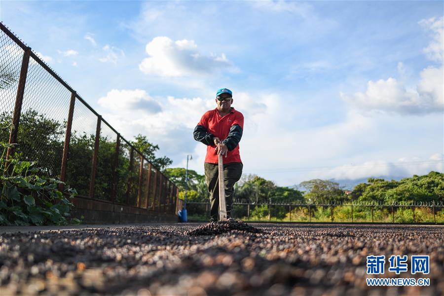 （国际）（6）哥斯达黎加&mdash;&mdash;中美洲的&ldquo;咖啡王国&rdquo;