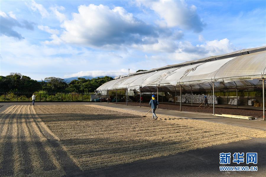 （国际）（7）哥斯达黎加&mdash;&mdash;中美洲的&ldquo;咖啡王国&rdquo;