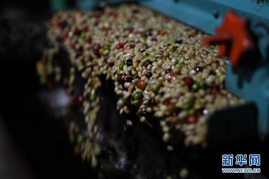 （国际）（9）哥斯达黎加&mdash;&mdash;中美洲的&ldquo;咖啡王国&rdquo;