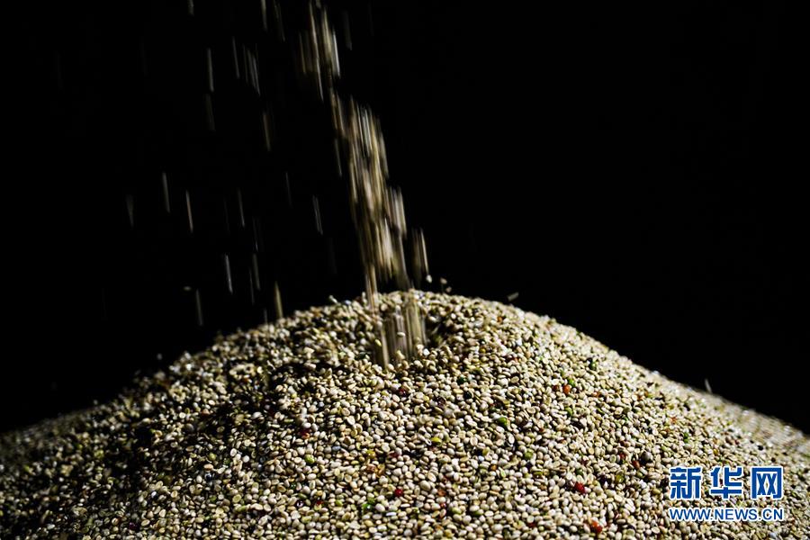 （国际）（10）哥斯达黎加&mdash;&mdash;中美洲的&ldquo;咖啡王国&rdquo;