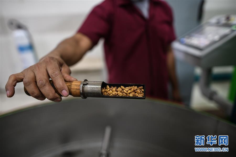 （国际）（11）哥斯达黎加&mdash;&mdash;中美洲的&ldquo;咖啡王国&rdquo;